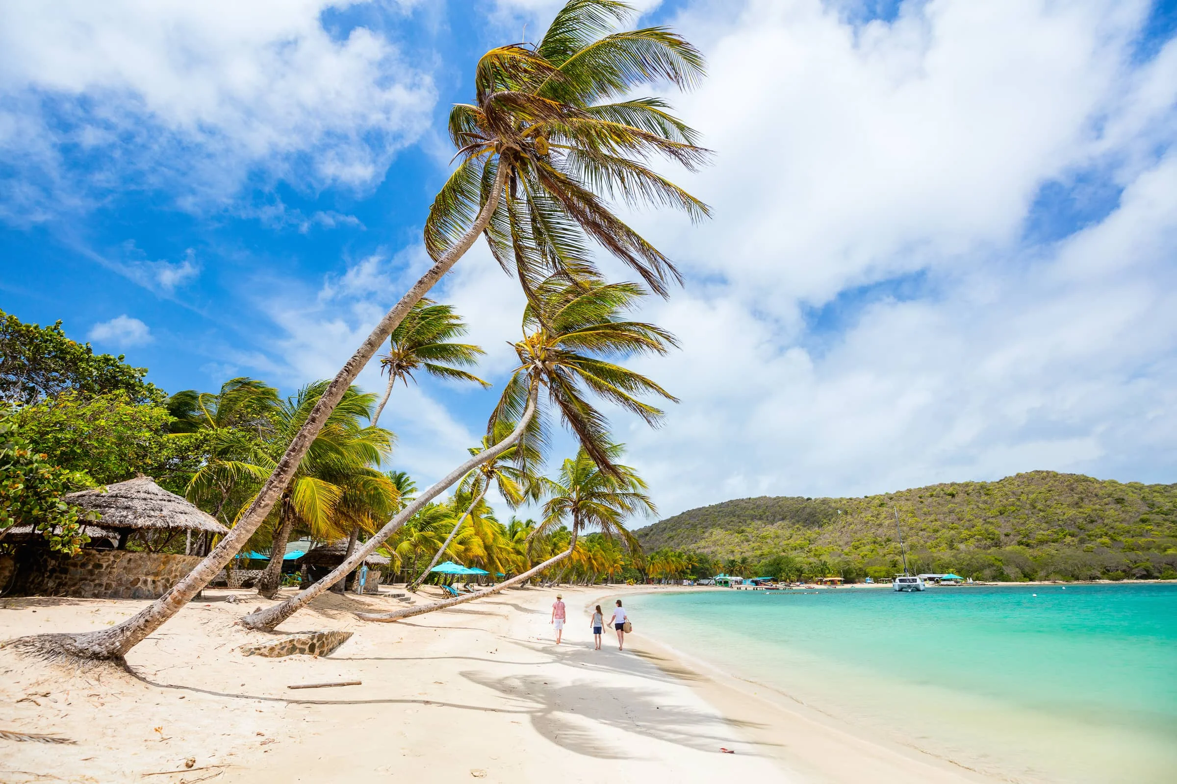 Family walking along a palm-lined Antigua beach