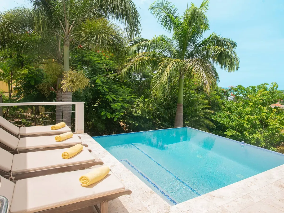 Infinity pool with sun loungers laid out among palms at an Antigua villa